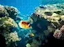 Sharm el Sheikh Turu 3 Gece THY ile TK700-TK701(23 Nisan hareketli)