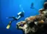 Sharm el Sheikh Turu 3 Gece THY ile TK700-TK701(23 Nisan hareketli)