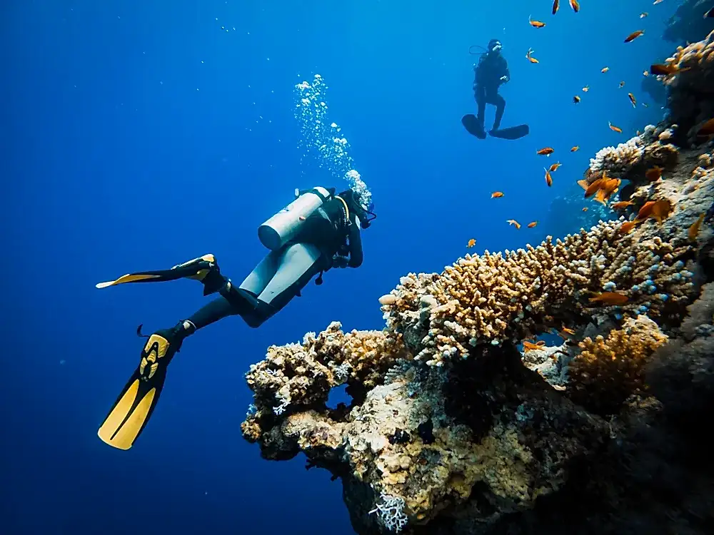 Sharm el Sheikh Turu 3 Gece THY ile TK700-TK701(23 Nisan hareketli)