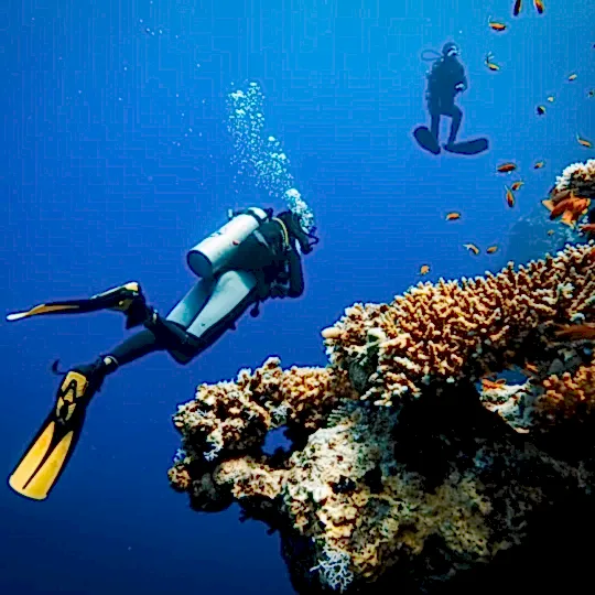 Sharm el Sheikh Turu 3 Gece THY ile TK700-TK701(23 Nisan hareketli)