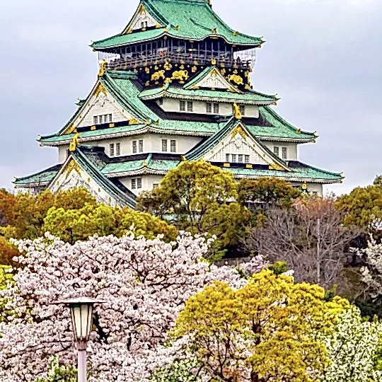 THY ile Grand Japonya Turu-Vizesiz-2026