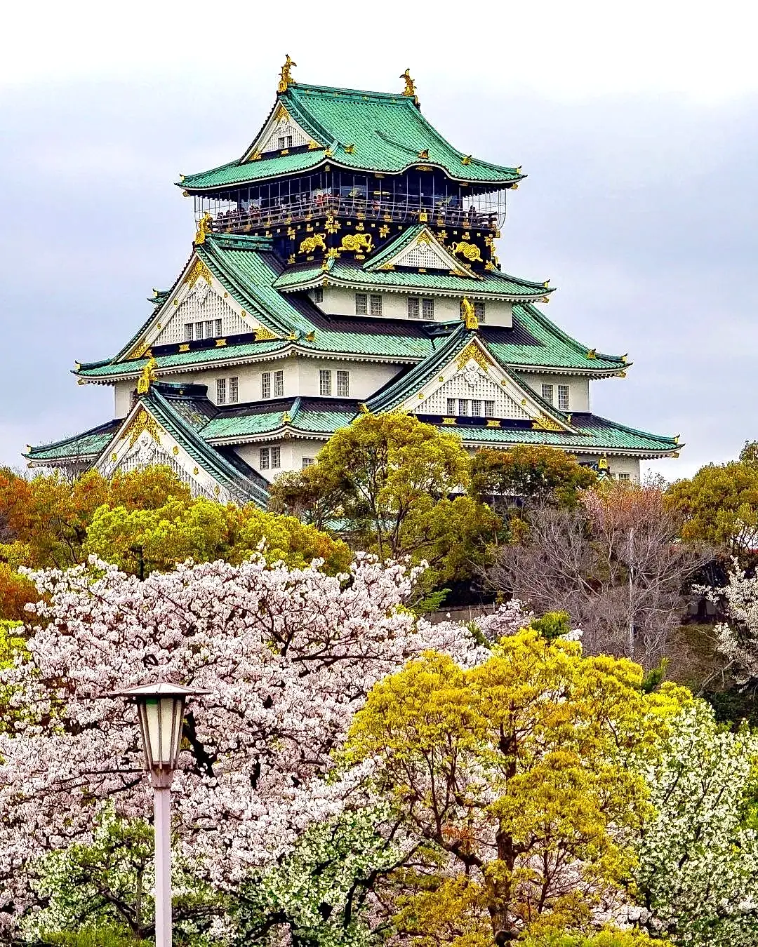 THY ile Grand Japonya Turu-Vizesiz-2026